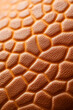 © fotogurmespb - Close-up of textured orange surface resembling rough skin or basketball texture, perfect for sports equipment or dermatology concepts