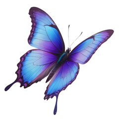 butterfly with iridescent wings in shades of purple and blue flying upwards, set against a minimalis