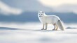© K-MookPan - Arctic fox in pristine white winter coat, snowy landscape.