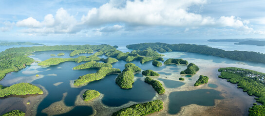 Wall Mural - aerial panorama of nikko bay, koror island, palau