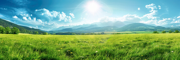 Wall Mural - Spring green meadow with wild flowers, glass field with flowers in blue sky with cloud background for template and banner.