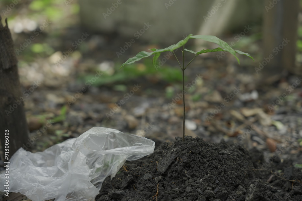 Efforts to prevent environmental pollution and global warming ...