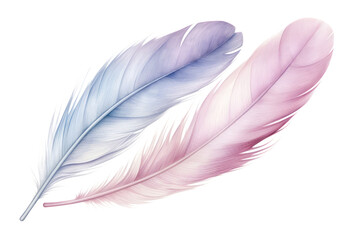 Wall Mural - PNG Feather sketch bird transparent background.