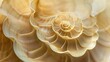 © IgitPro - Abstract depiction of a nautilus shell, focusing on its detailed swirl. The shell's natural patterns are beautifully displayed in this art piece.