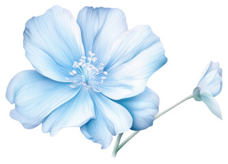 Wall Mural - PNG Soft Blue Flower flower blossom nature.