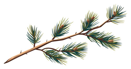 Sticker - PNG Pine branch plant tree fir.