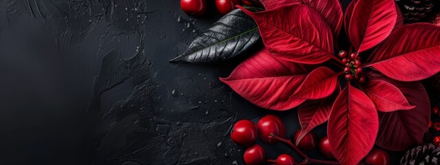 Poster -  A poinsettia's vibrant leaves and red berries against a black backdrop Insert text here