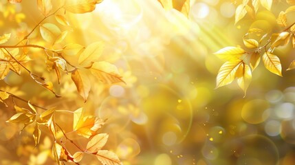 Canvas Print - Golden Autumn Leaves with Sunlit Bokeh