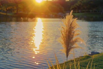 The setting sun shines on the grass, and there is an orange yellow sunset in front The lake surface reflects golden light, creating a beautiful scenery Generative AI