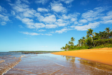 Sticker - Tropical beach