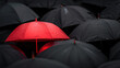 © Sunday Cat Studio - A vivid red umbrella stands out among a sea of black umbrellas, symbolizing individuality and uniqueness in a crowd.