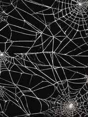 seamless spider web against an abstract black background, halloween theme, illustration wallpaper