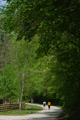 two women walking in a forest