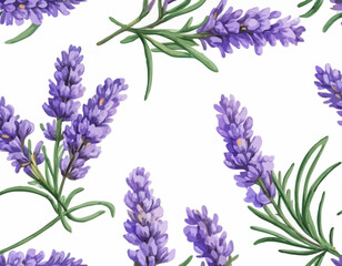 Wall Mural - Two sprigs of lavender flowers isolated on a white background
