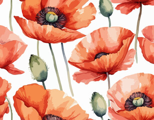 Wall Mural - Poppy flowers watercolor illustration isolated on white background