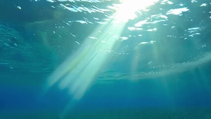 Wall Mural - soft rays of sunlight pierce the calm surface of the ocean, illuminating the depths with a tranquil 