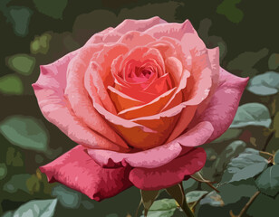 Wall Mural - Rose