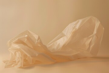 Canvas Print - A single white plastic bag lies on a white surface