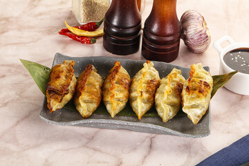 Wall Mural - Fried Japanese stuffed dumplings - Gyoza