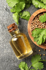 Canvas Print - Coriander essential oil, seeds and green leaves on grey table, top view