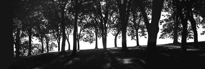 Sticker - Silhouettes of trees in the garden