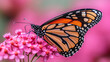 © Your Hand Please - Monarch butterfly perched on a vibrant flower, showcasing its striking orange and black wings. The image symbolizes transformation, beauty, and the fragility of nature