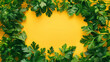 © Graphic Master - Frame of coriander leaves