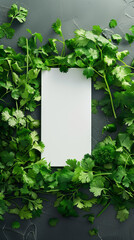 Sticker - Frame of coriander leaves, white steel board in middle, flat color background