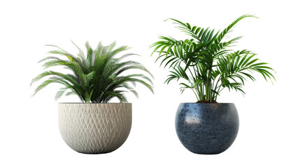 Wall Mural - Two potted plants, one is a palm tree and the other is a palm tree with a leafy green plant