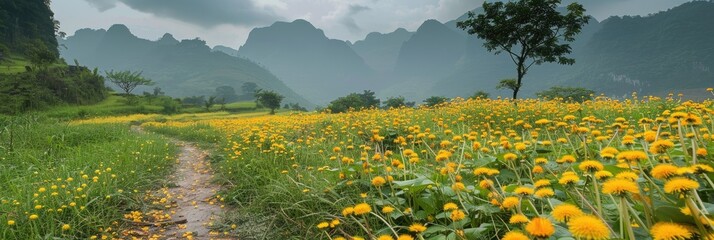 Sticker - Vietnamese Dandelions Yellow Wildflowers Along the Roadside