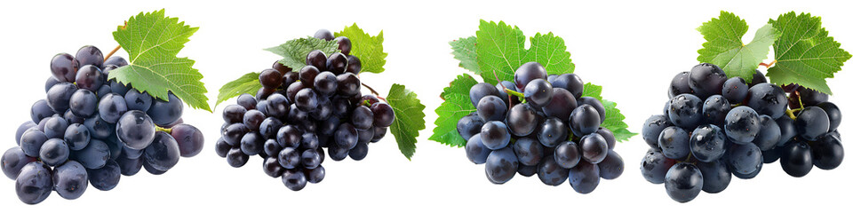 a cluster of dark purple grapes with a few green leaves, isolated on a white background