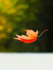 Wall Mural - A single red leaf floating in the air over a body of water