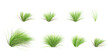 © Saifstock - Green Japanese rush grass with white background.3d rendering