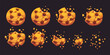 © Vector Tradition - Crumble biscuit cookie animated sprite. Cartoon vector crunchy dessert with chocolate chips whole and bitten disappear animation. Isolated homemade bakery pieces, 2d gui elements sequence frame