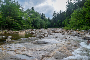 Wall Mural - River flowing over rocks and boulders with trees.