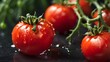 © Photographer - Visualize a close-up of a ripe, red tomato, with its glossy skin and the small droplets of water clinging to its surface. Describe its freshness and appeal