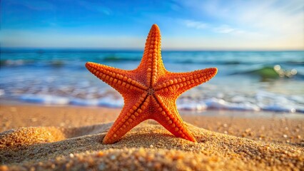 Close up of a vibrant orange starfish on a sandy beach, ocean, marine life, echinoderm, underwater, wildlife, beach