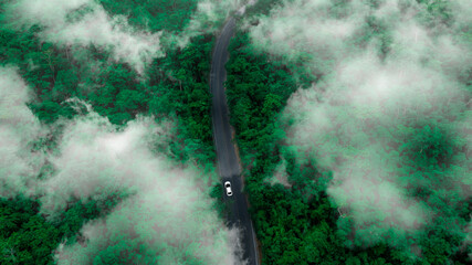 Canvas Print - Aerial view of dark green forest road and white electric car Natural landscape and elevated roads Adventure travel and transportation and environmental protection concept