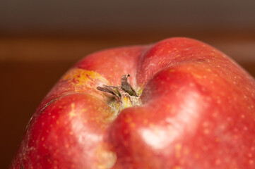 red apple close-up