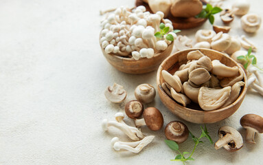 Wall Mural - Assortment of various raw mushrooms