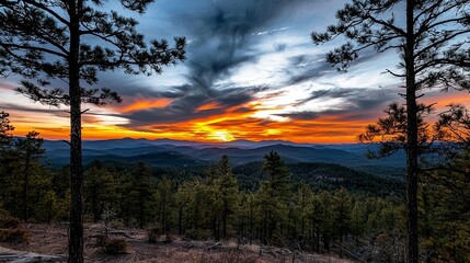 Wall Mural - sunset over an untamed forest with pine needles and expansive views of the natural landscape, creati