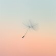 © Oskar Reschke - A minimalist shot of a lone dandelion seed suspended mid-air against a soft, pastel background, capturing the essence of vulnerability and the fleeting nature of life. The simplicity and color scheme