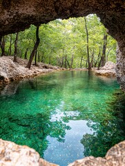 Poster - Lush green forest with crystal clear pool