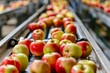 © Victor Bertrand - Production line filled with vibrant red and green apples, showcasing the abundance and freshness in a food processing facility.