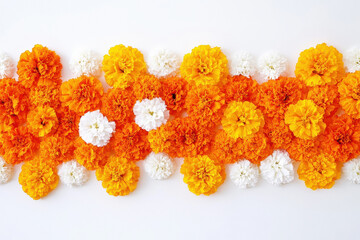 Wall Mural - marigold flowers and white flowers design on white background