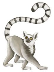 Poster - Lemur png sticker, cute animal illustration, transparent background