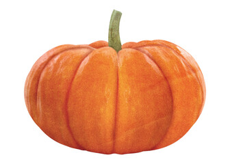 Poster - Autumn pumpkin png sticker, transparent background