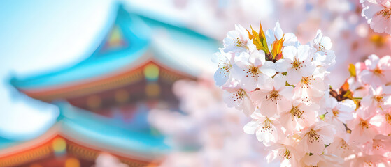 Wall Mural - A cherry blossom tree with pink flowers is in front of a blue and red building