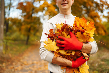 Cleaning of autumn leaves in the park. A volunteer wearing gloves collects a bunch of yellow fallen leaves in an autumn park. Ecology concept.