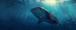 © Svitlana - Majestic whale shark gliding through the sea, 4K hyperrealistic photo
